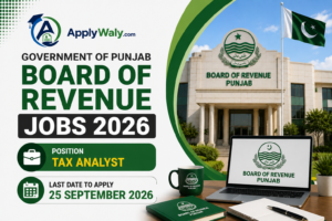 Government of Punjab Board of Revenue Jobs 2026 | Tax Analyst